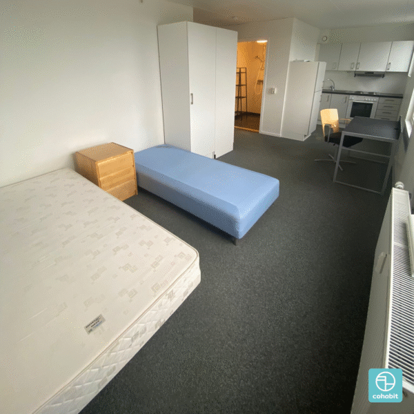 Student Bundle - Image 11